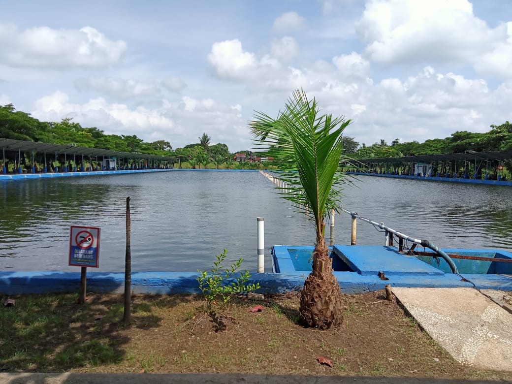 Panampu Park Photos 2